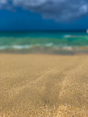 Barbados Brittle Sand Wallpaper