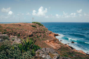 Barbados Rocky Seaside Wallpaper