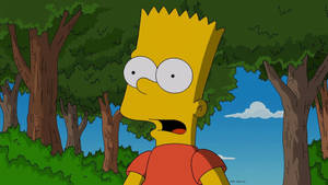 Bart Simpsons Cartoon Sitcom Character Wallpaper
