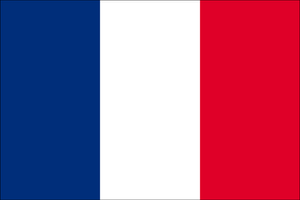 Basic France Flag Wallpaper