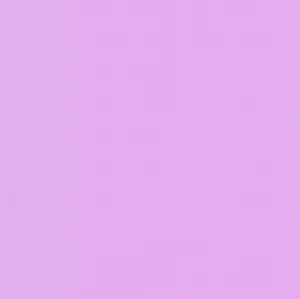 Basic Lavender Purple Color Wallpaper