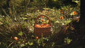 Basket Of Fruits Cottagecore Desktop Wallpaper