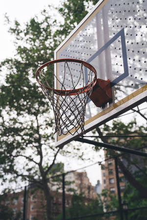 Basketball Hoop City Playground Wallpaper