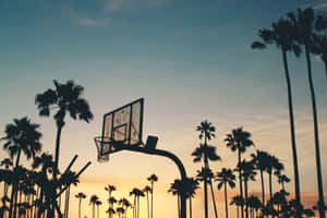 Basketball Hoop Sunset Palms Wallpaper