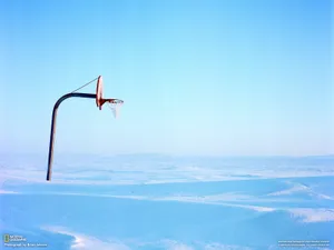 Basketball In Snow Wallpaper