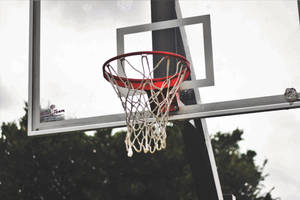 Basketball Ring Transparent Shield Wallpaper