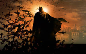 Batman With Bats Dark Screen Wallpaper