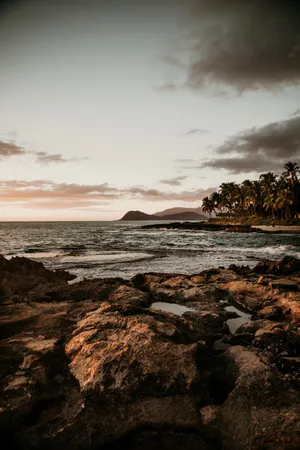 Beach Landscape Wallpaper
