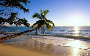 Beach Morning Light Wallpaper