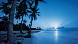 Beach Night Rising Moon Wallpaper