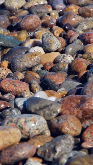 Beach Rocks Smartphone Background Wallpaper