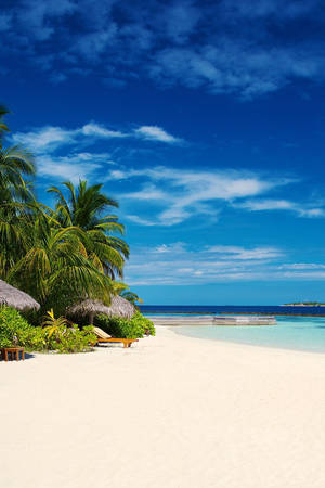 Beach Under Blue Sky Wallpaper
