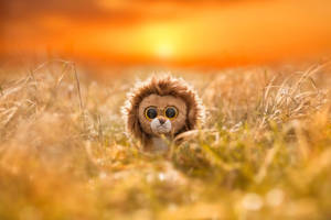 Beanie Boos Lion In The Field Wallpaper