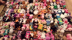 Beanie Boos Plushie Collection Wallpaper