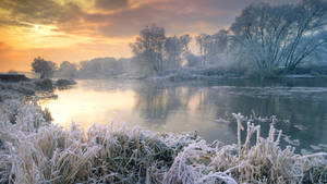 Beautiful 1920x1080 Winter Desktop Picture Wallpaper