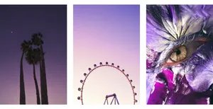 Beautiful Aesthetic Photos Wallpaper