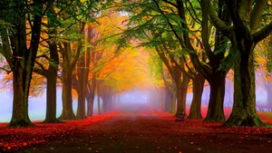 Beautiful Autumn Scenery In Vivid Colors Wallpaper
