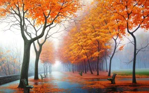 Beautiful Autumn Trees Scenery Wallpaper