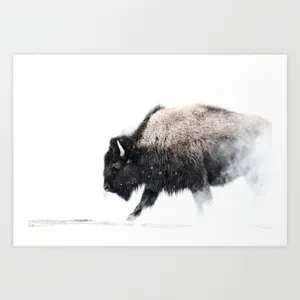 Beautiful Buffalo Painting Wallpaper