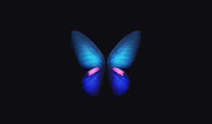 Beautiful Dark Butterfly On A Mysterious Floral Background Wallpaper