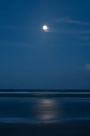 Beautiful Full Moon Over Beach Wallpaper