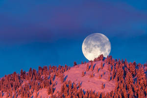 Beautiful Full Moon Pink Mountain Wallpaper