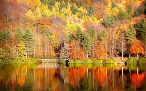 Beautiful Lake Fall Desktop Wallpaper