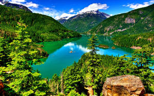 Beautiful Landscape Forest Lake Wallpaper