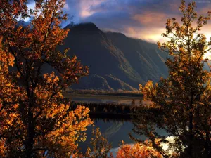 Beautiful Landscape Mountain Between Trees Wallpaper