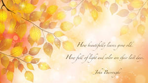 Beautiful Leaves Grow Old Quote Wallpaper