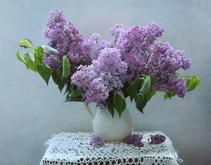 Beautiful Lilac Flowers In A Flower Vase Wallpaper