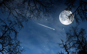 Beautiful Moon And A Meteor Wallpaper