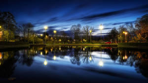 Beautiful Night In City Park Wallpaper