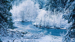 Beautiful Picture Of 1920x1080 Winter Desktop Wallpaper