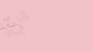 Beautiful Pink Flower Wallpaper