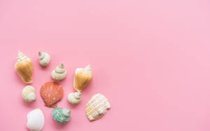 Beautiful Shells In Pink Wallpaper