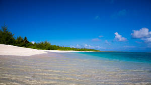 Beautiful Shore In Marshall Islands Wallpaper