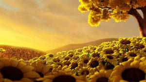 Beautiful Sunflowers Field Wallpaper