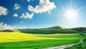 Beautiful Sunny Day Wallpaper