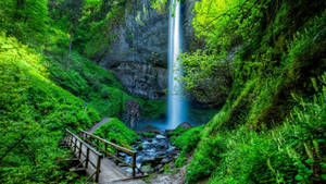 Beautiful Waterfall Oregon Wallpaper