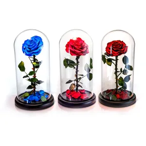 To celebrate the release of Beauty and the Beast, Beast's