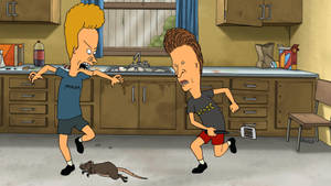 Beavis And Butt Head Kitchen Rat Wallpaper