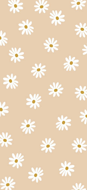 Beige Aesthetic Phone With Daisy Flowers Wallpaper