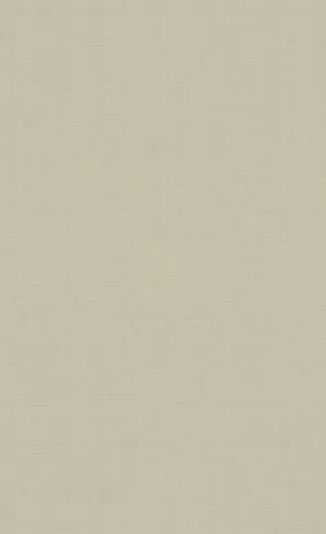 Beige Minimalist Hue Wallpaper