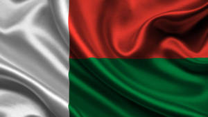 Belarus Flag In High Resolution Wallpaper