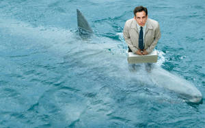 Ben Stiller On A Shark Wallpaper