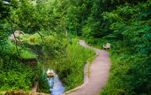 Bench On Forest Path Wallpaper