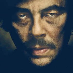 Benicio Del Toro In Escobar Paradise Lost 2014 Wallpaper