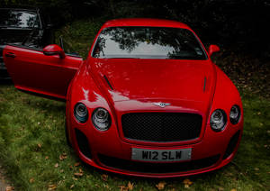 Bentley Continental Gt, Red, Front View, Luxury Wallpaper