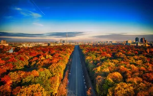 Berlin Autumn Road Wallpaper